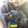 Frederik Stock - @frederikstock - TikTok