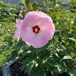 John Frederick Stone - @johnfrederickstone - Instagram