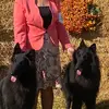 Carol Frederick/dog trainer - @carolfrederick68 - TikTok