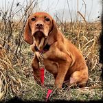 Fred - @frederick_vaughn_claus - Instagram