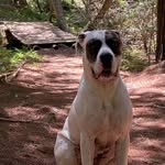 James Walsh - @frederick.j.walsh_ - Instagram