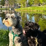 Rupert Herschel & Rumble Frederick Warren-Jonker - @rupert_and_rumble - Instagram