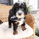 Frederick Archie Weaver-Hasan - @frederickarchiehasan - Instagram