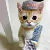 Frederick Weaver - @frederick.weaver - TikTok