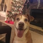 Frederick Weston Coggins - @frederickwestoncoggins - Instagram