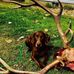 Fred Wilburn - Facebook