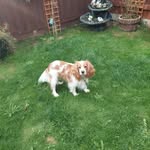 Frederick Winter - @frederick.winter.18 - Instagram