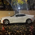 Frederick - @frederick.wordelmann - Instagram
