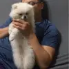 frederickwu973 - @frederickwu973 - TikTok