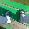 buckley - @buckley_frederick_ - TikTok
