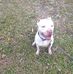 Frederick Henderson - Facebook