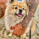 Frederico Silva 🐶 - @fredericosilva0915 - Instagram