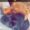 Frédérique Hebert - @frdrique.hebert - TikTok