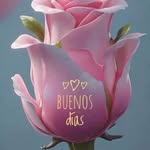 Fredi Lpez Arias - @lpezarias - Instagram