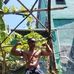 Fredi Jackson - Facebook