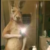 fredijimenez76 - @fredijimenez76 - TikTok