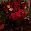 Fredi Lopez - @fredi.lopez169 - TikTok