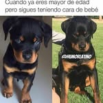 henrry - @fredi_lopez - Instagram