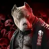 FREDDY BLACK 8 - @frediosorio305 - TikTok