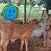 Fredi Reyes - Facebook