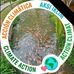 Fredi Rios - Facebook