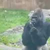 Fredi Sanchez - @fredi.sanchez6 - TikTok