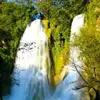 Fredi Silva - @fredi.silva - TikTok