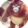 Fredi Torres - @fredi.torres3 - TikTok