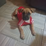 Fredi Torres Martinez - @brillante200 - Instagram