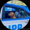 Fredii Torres - @fredii__torres - TikTok