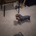 Fredia Jackson - Facebook