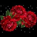 Fredia Jones - @fredia1967 - Instagram
