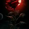 Fredi - @fredisdiaz259 - TikTok