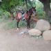 Fredis Martinez - Facebook