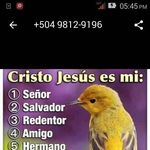 Fredis Ramos - @fredis164 - Instagram