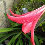 Fredis Ramos Martines - @fredisramosmartines - Instagram