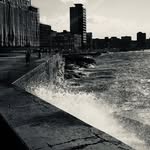 Foxtail - @fredrick.foxtail - Instagram