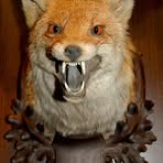 Fredric Fox - Facebook