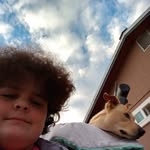 Fredric Fox - @freddyfox667 - Instagram