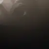 Frederick Shaw - @frederick.shaw - TikTok