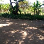 Fredrick Abraham - @fredrick.abraham.568 - Instagram