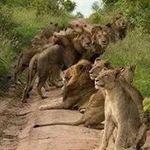 Fredrick abraham kisila - @fredrickabraham - Instagram
