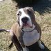 Frederick Bailey - Facebook