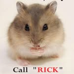 Rick Barrett - @fredrick.barrett.75 - Instagram