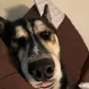 Fredrick Beasley - @fredrickbeasley0945 - TikTok