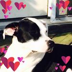 Frederick Ron Bishop - @frederick.bishop - Instagram