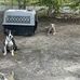 Frederick Chambers - Facebook