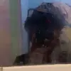 fredrick cooper - @fredrick.cooper3 - TikTok