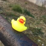 Fredrick Fredrickson - @fredricktheduck666 - Instagram