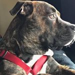 Fredrick fuller - @fuller_fredrick1 - Instagram